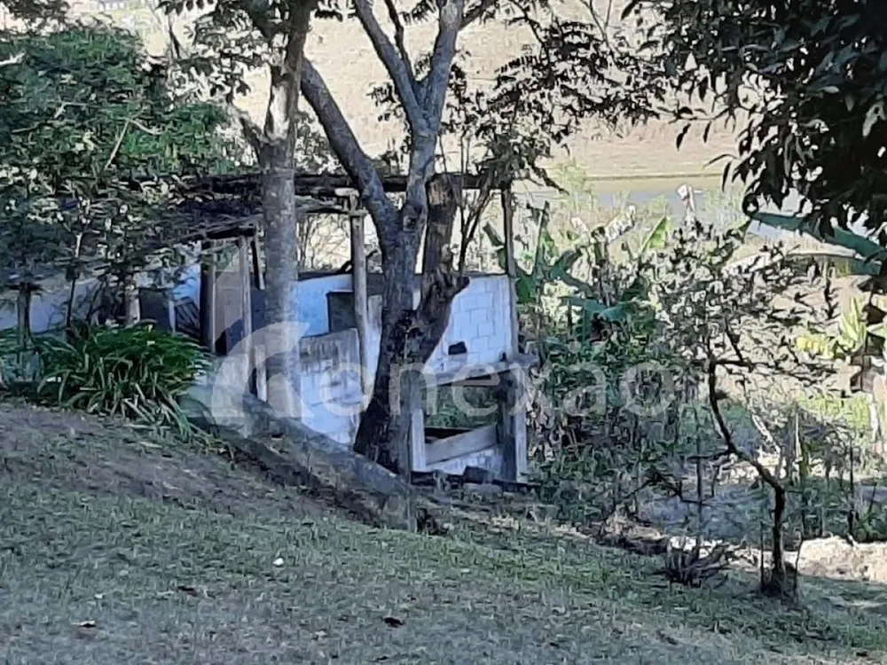 Chácara, 4 quartos, 2000 m² - Foto 4