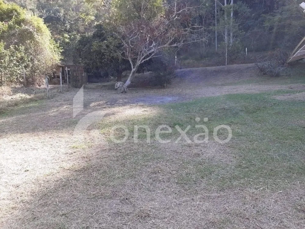 Chácara, 4 quartos, 2000 m² - Foto 6