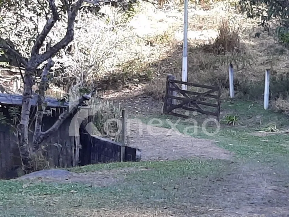 Chácara, 4 quartos, 2000 m² - Foto 13