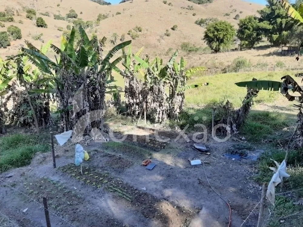 Chácara, 4 quartos, 2000 m² - Foto 7