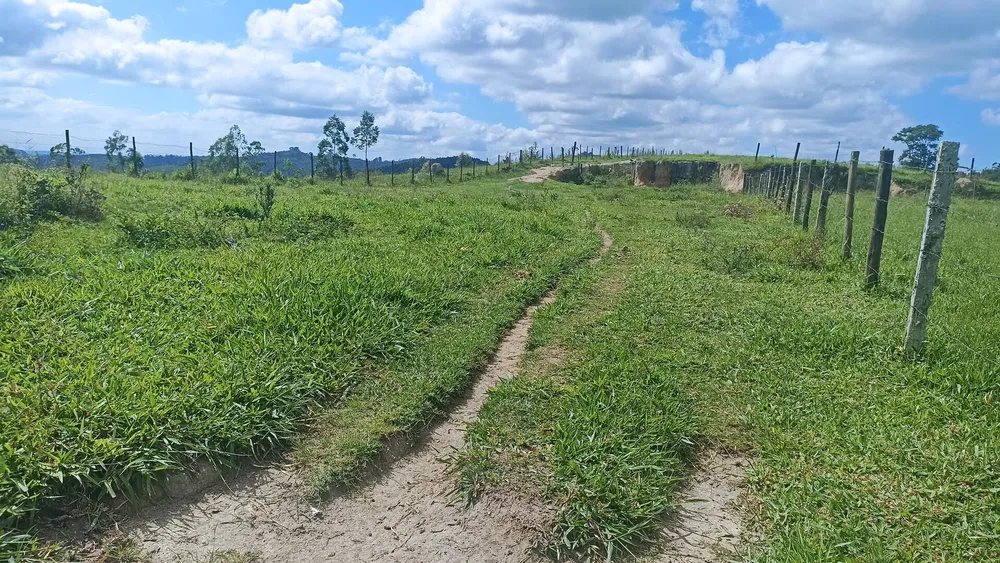 Sítio, 6 quartos, 200 m² - Foto 14