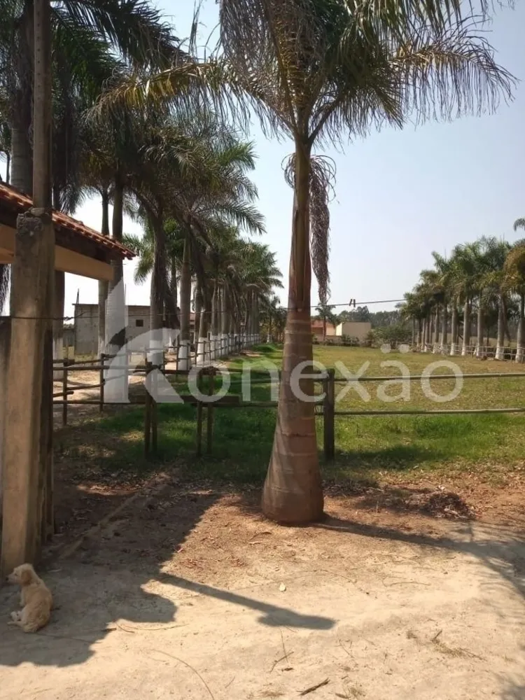 Sítio, 6 quartos, 200 m² - Foto 3