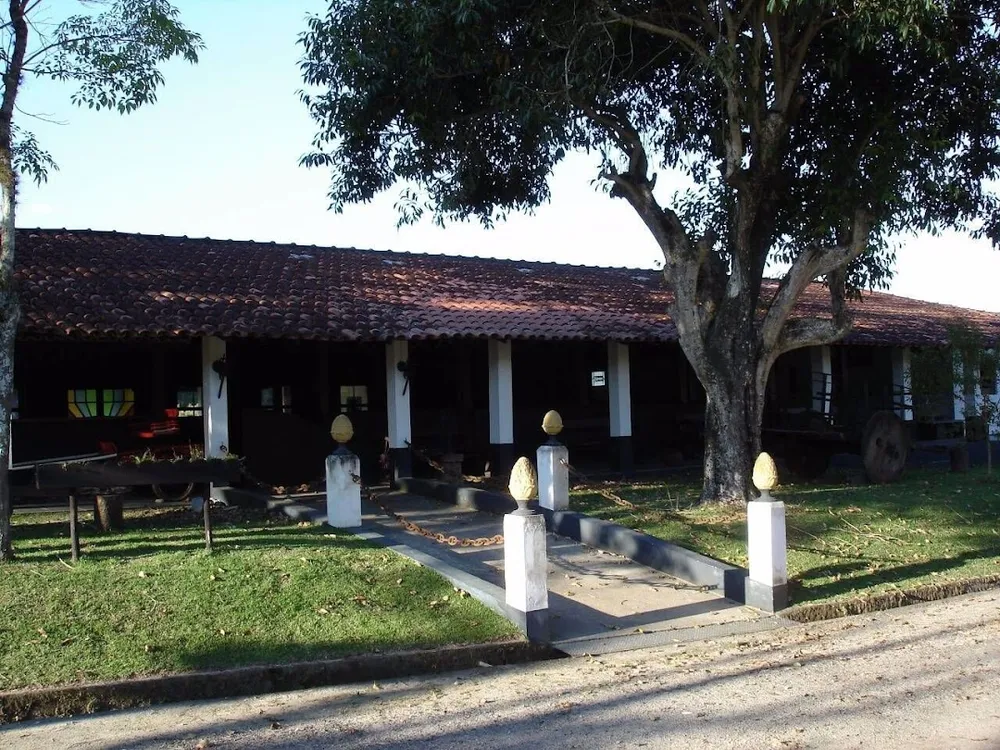 Fazenda, 145 hectares - Foto 3