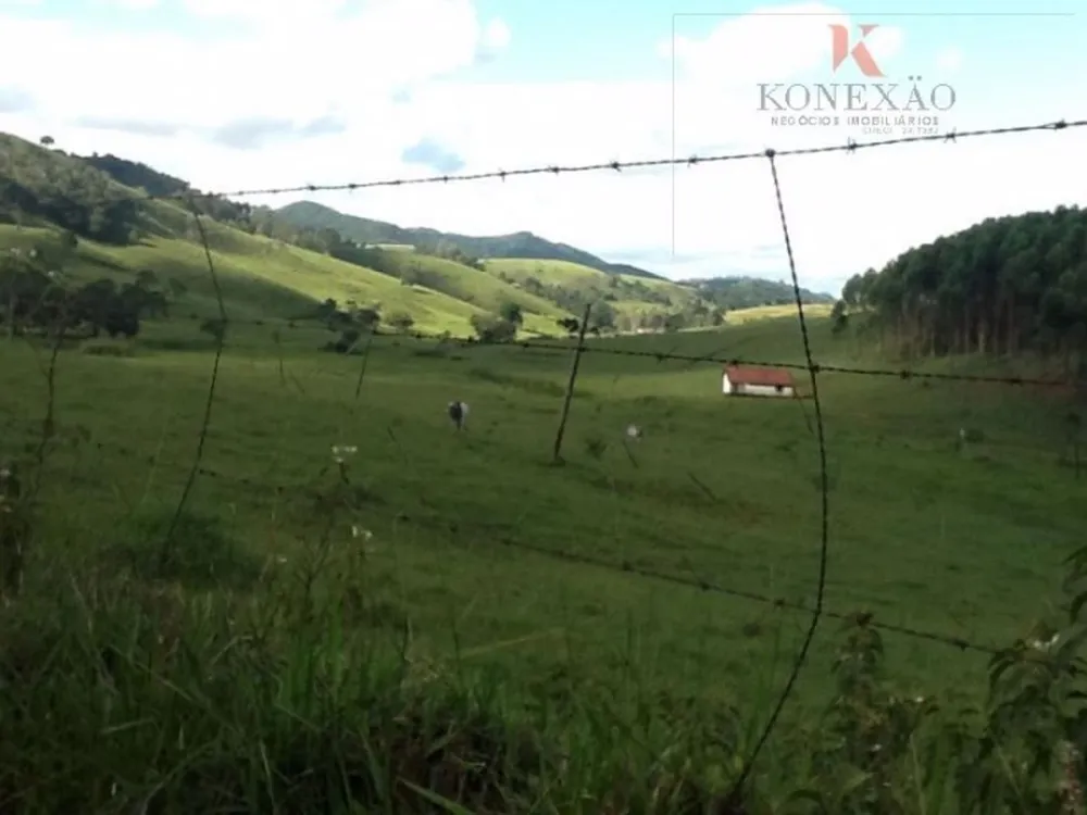 Fazenda, 2904 hectares - Foto 13