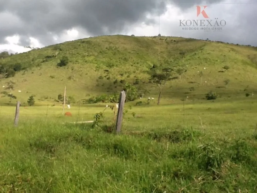 Fazenda, 2904 hectares - Foto 16