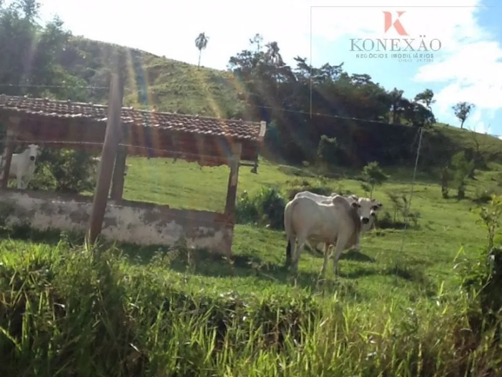 Fazenda, 2904 hectares - Foto 4