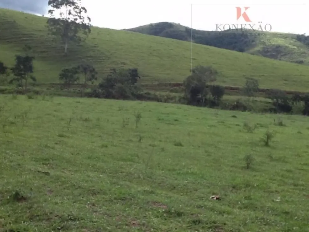 Fazenda, 2904 hectares - Foto 12