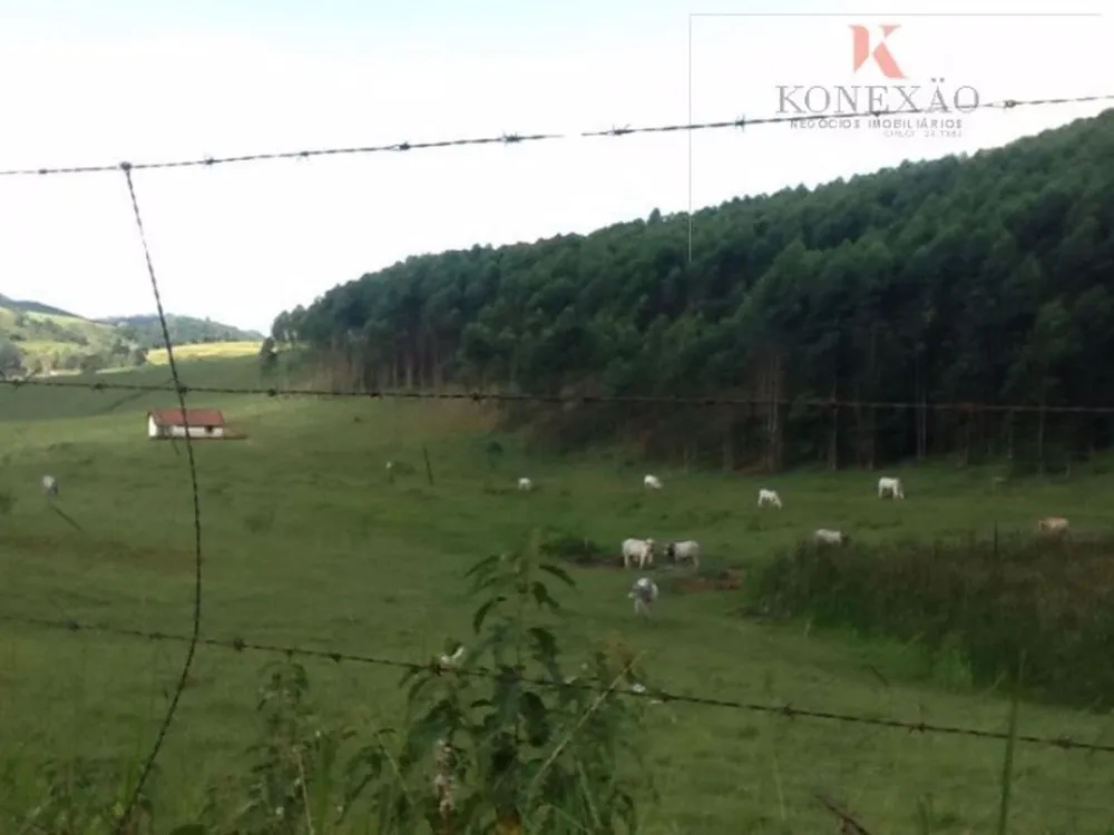 Fazenda, 2904 hectares - Foto 15