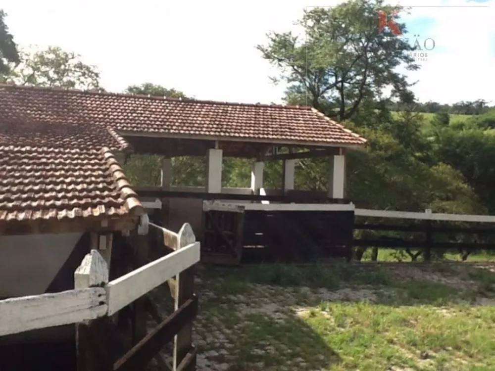 Fazenda, 2904 hectares - Foto 8
