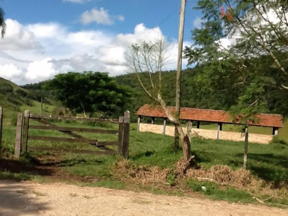 Fazenda, 2904 hectares - Foto 9