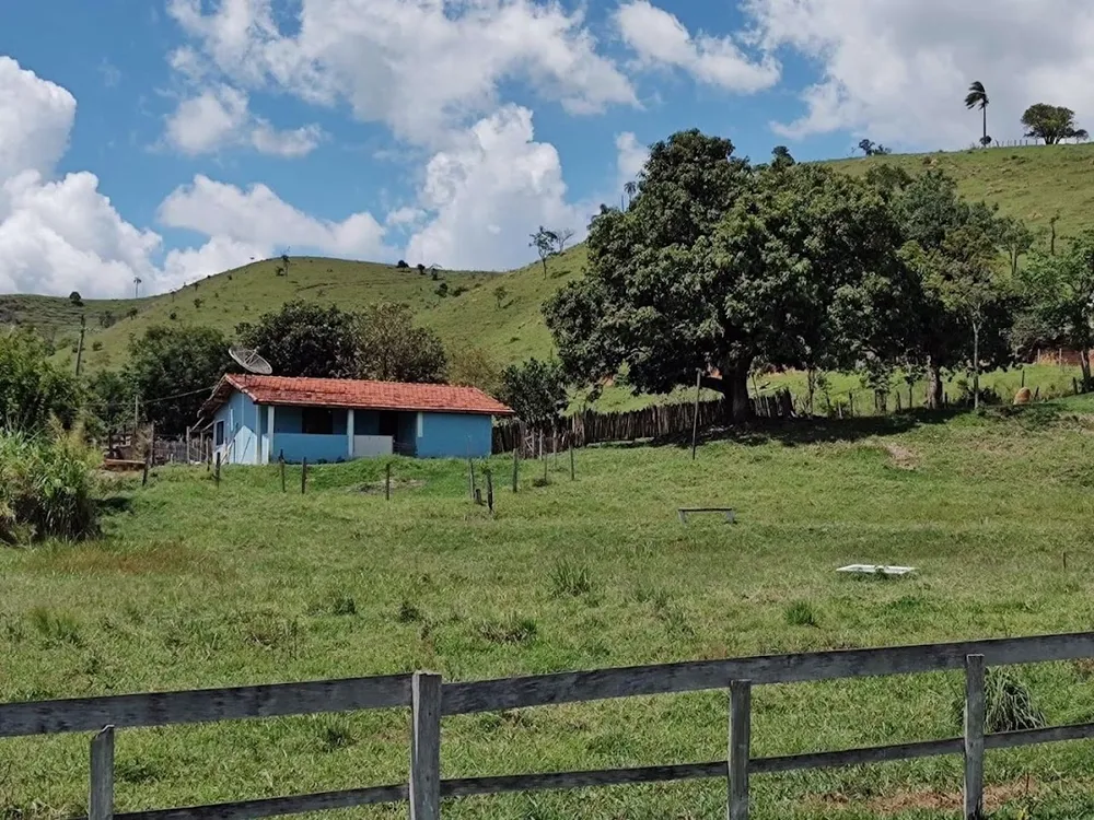 Sítio, 3 quartos, 200 m² - Foto 11