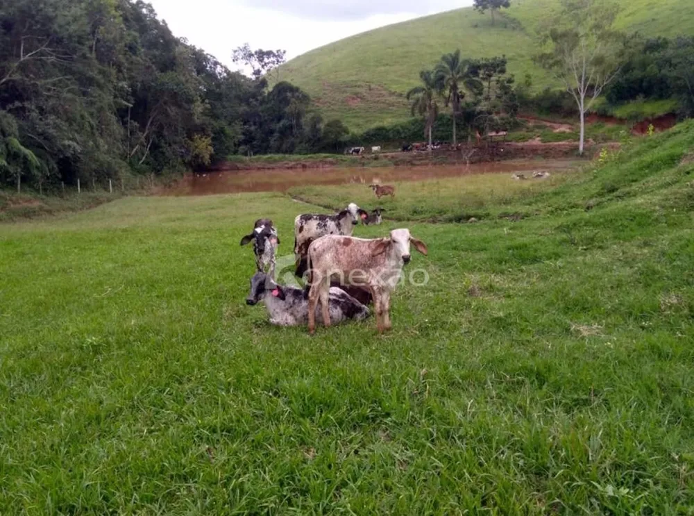 Fazenda, 100 m² - Foto 7