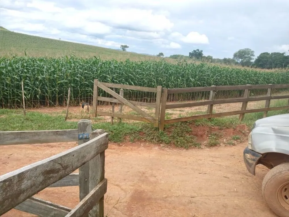 Fazenda, 100 m² - Foto 1