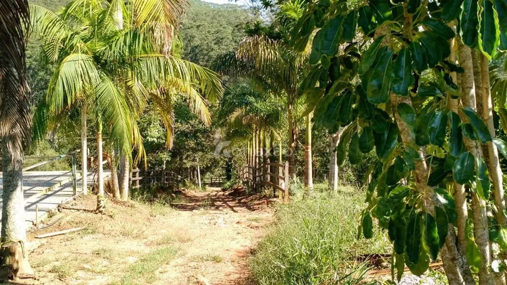 Fazenda, 500 m² - Foto 8