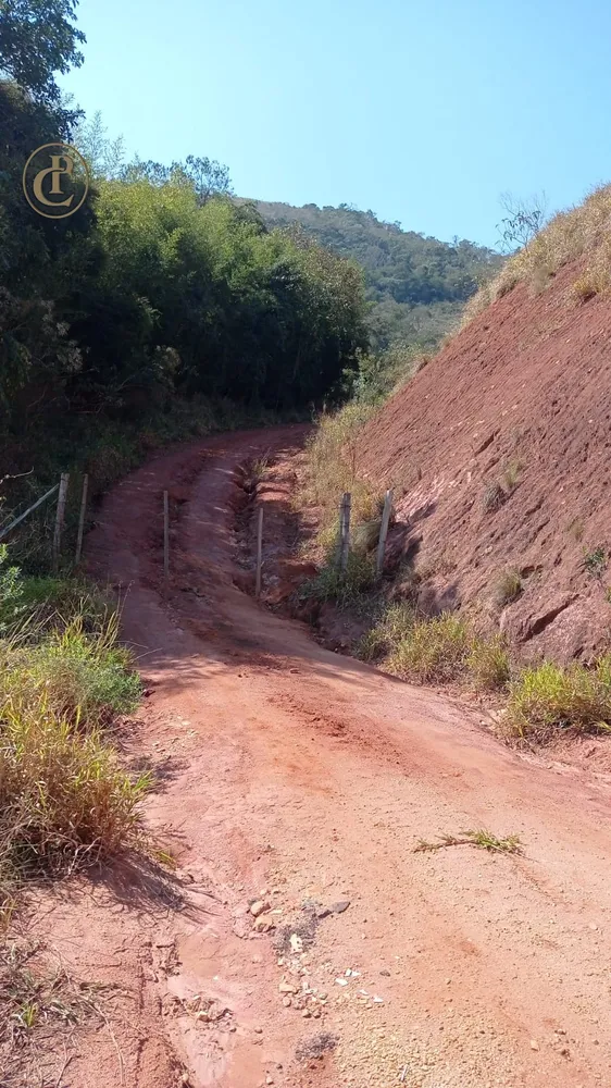 Terreno, 5 hectares - Foto 3
