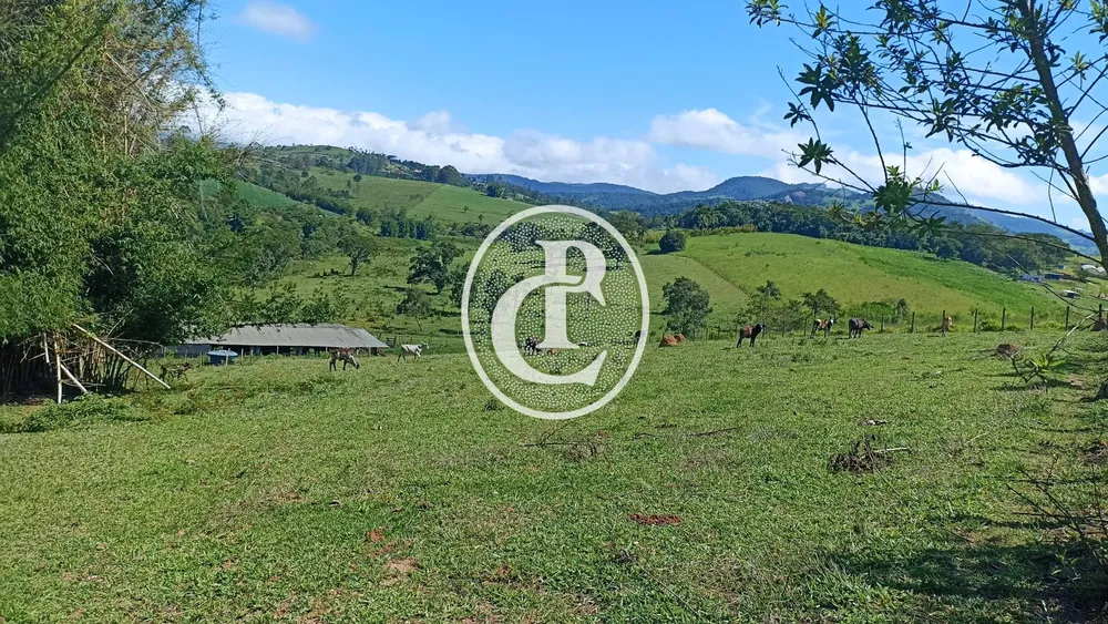 Fazenda, 82 hectares - Foto 8
