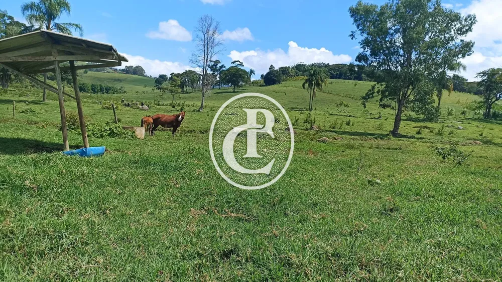 Fazenda, 82 hectares - Foto 1