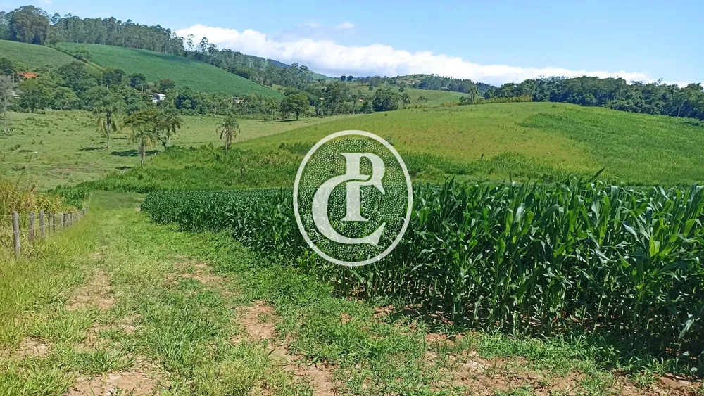 Fazenda, 82 hectares - Foto 6