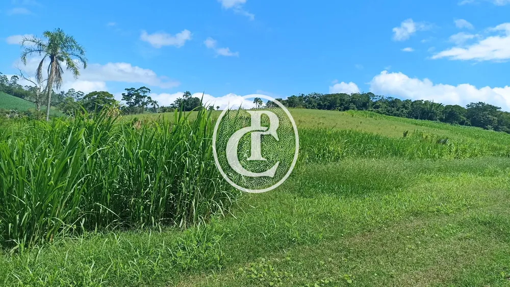Fazenda, 82 hectares - Foto 7