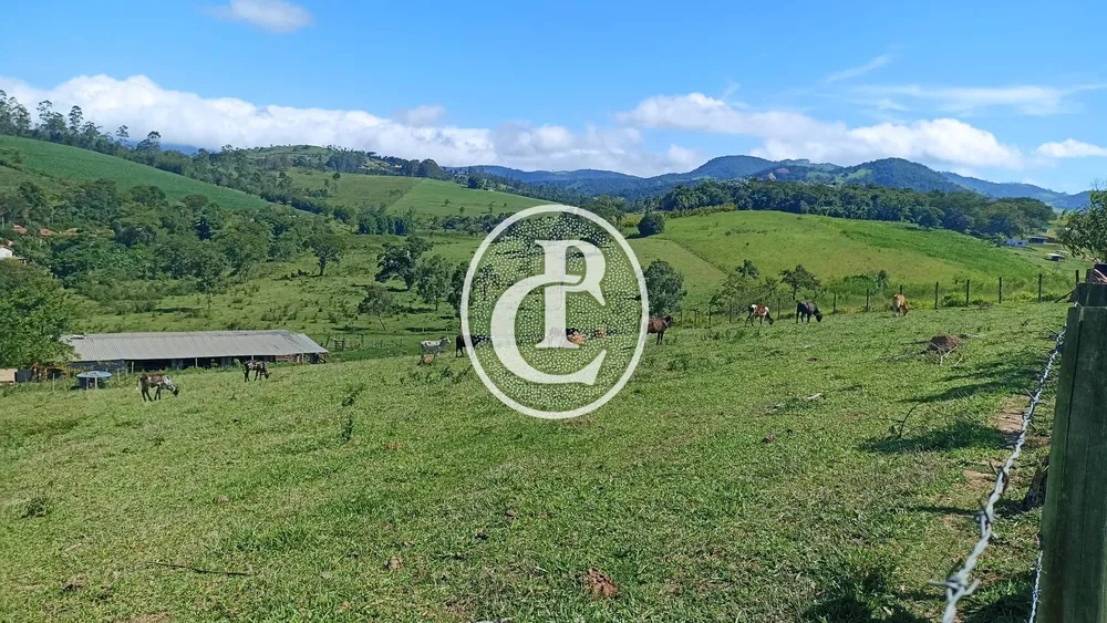 Fazenda, 82 hectares - Foto 2