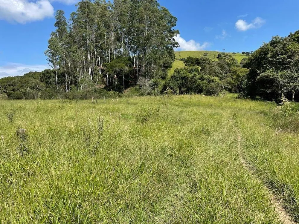 Sítio, 3 quartos, 19 hectares - Foto 4