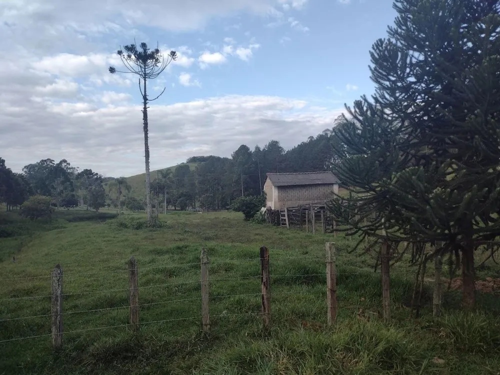 Sítio, 3 quartos, 19 hectares - Foto 15