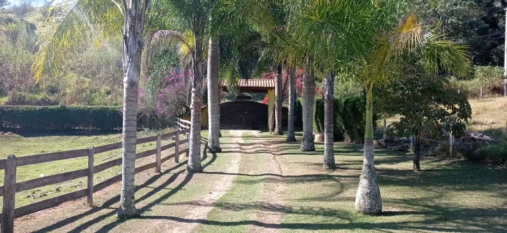 Chácara, 4 quartos, 2 hectares - Foto 5