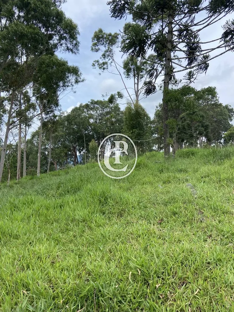 Terreno, 2 hectares - Foto 4