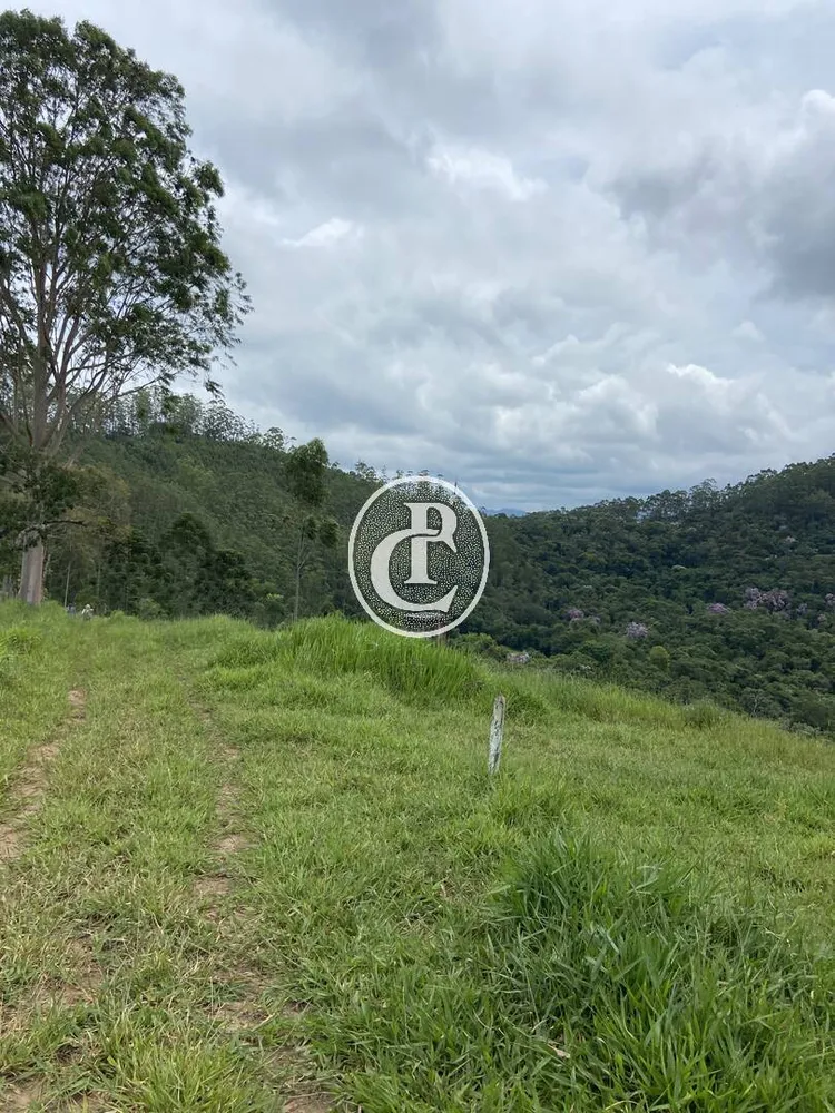 Terreno, 2 hectares - Foto 7
