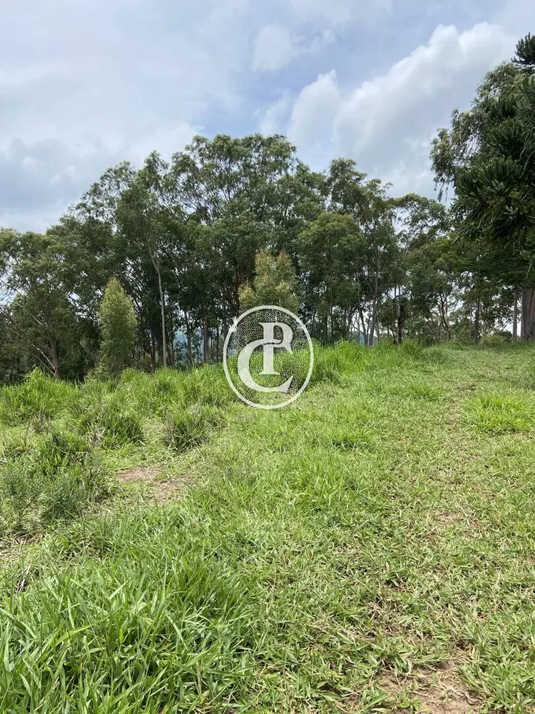 Terreno, 2 hectares - Foto 1