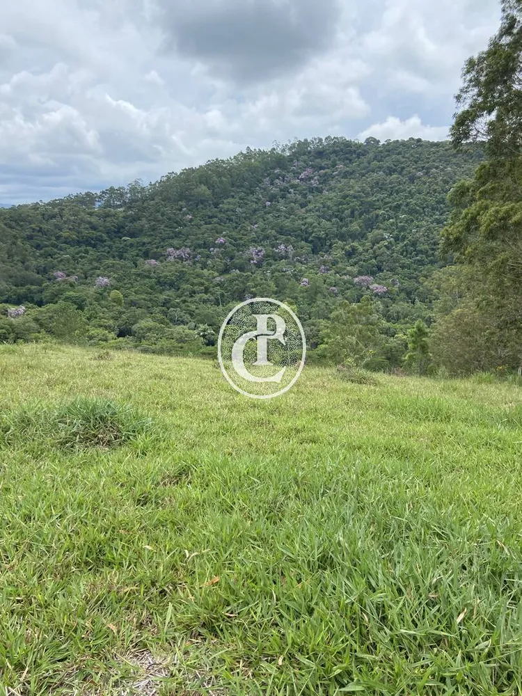 Terreno, 2 hectares - Foto 6