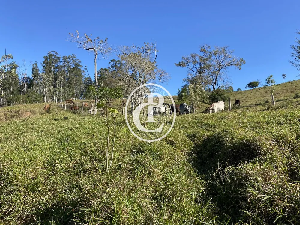 Fazenda, 121000 hectares - Foto 4