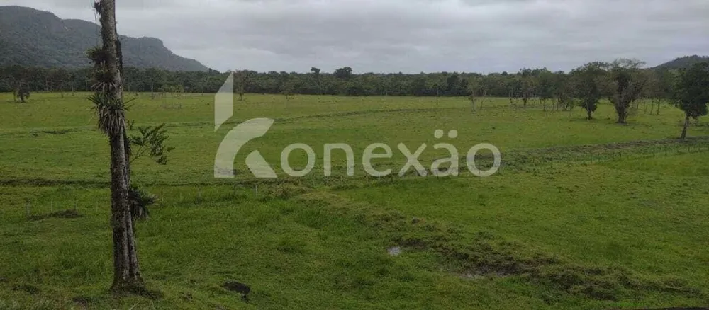 Fazenda, 290 hectares - Foto 7