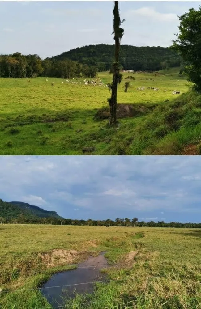 Fazenda, 290 hectares - Foto 16
