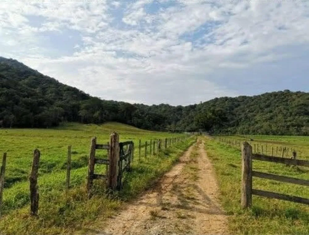 Fazenda, 290 hectares - Foto 3