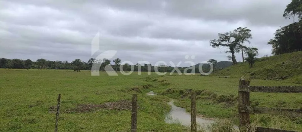 Fazenda, 290 hectares - Foto 10