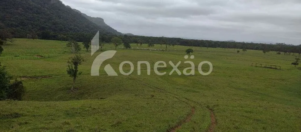 Fazenda, 290 hectares - Foto 9