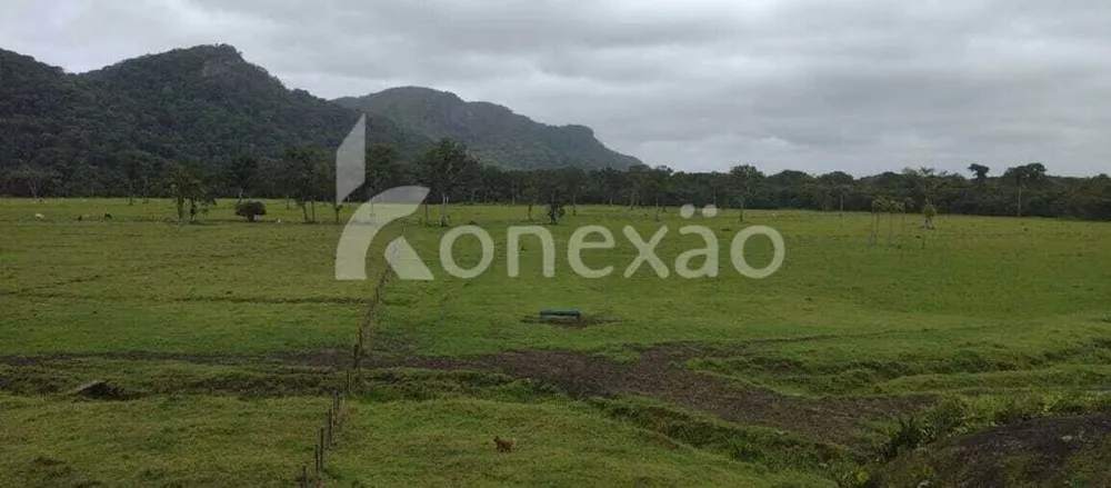 Fazenda, 290 hectares - Foto 6