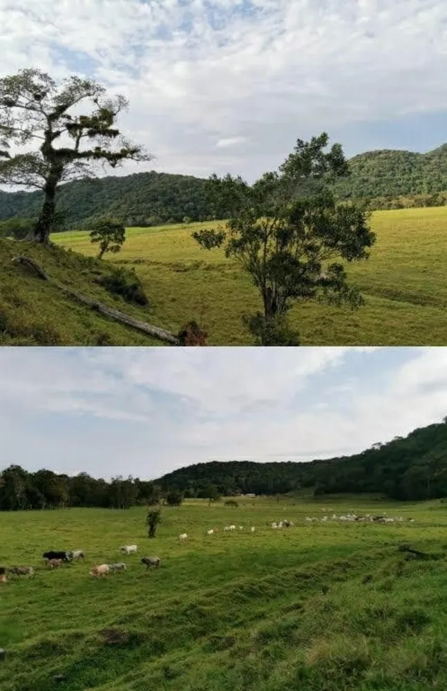 Fazenda, 290 hectares - Foto 13