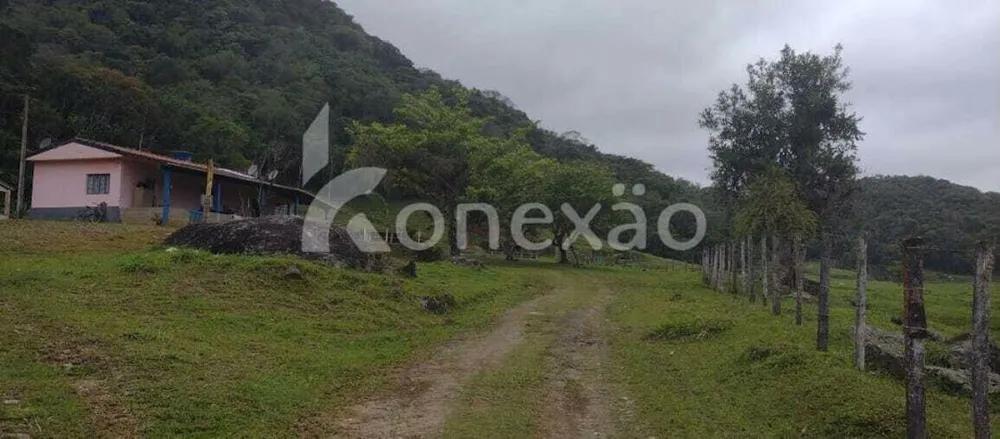 Fazenda, 290 hectares - Foto 11