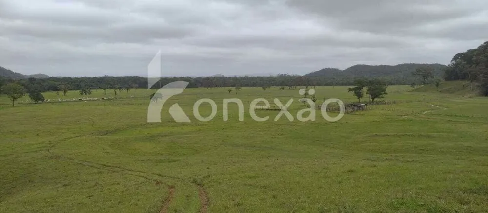 Fazenda, 290 hectares - Foto 8