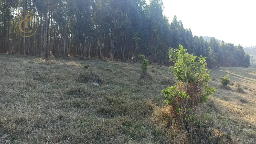 Sítio, 1 quarto, 180 m² - Foto 1