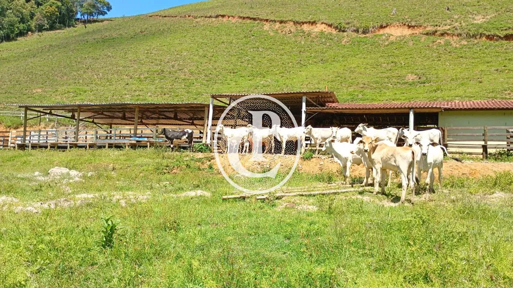 Fazenda, 39 hectares - Foto 8
