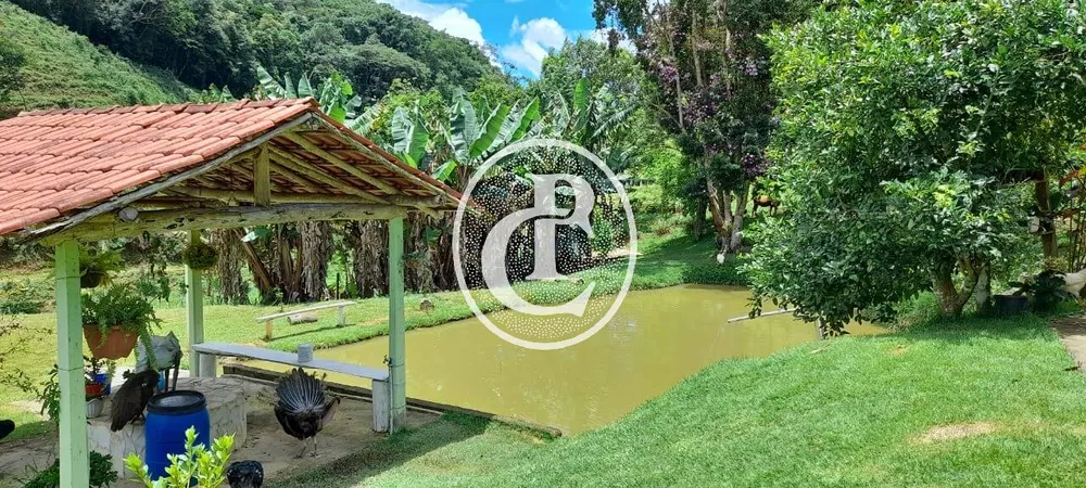 Fazenda, 39 hectares - Foto 6