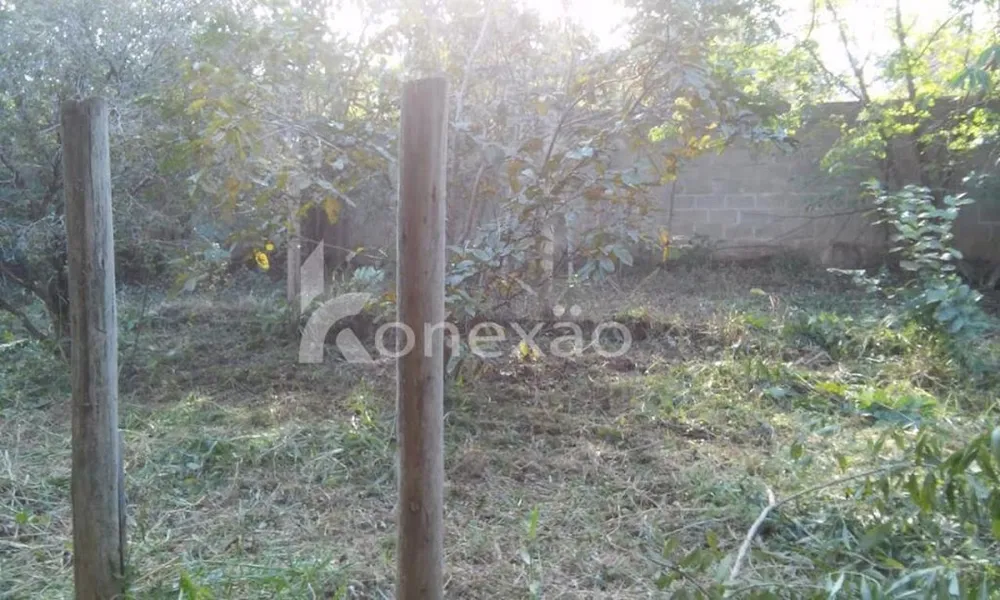 Chácara, 3 quartos, 200 m² - Foto 2