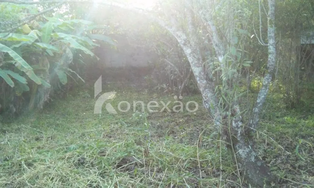 Chácara, 3 quartos, 200 m² - Foto 5