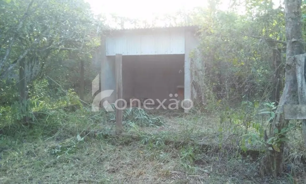 Chácara, 3 quartos, 200 m² - Foto 1