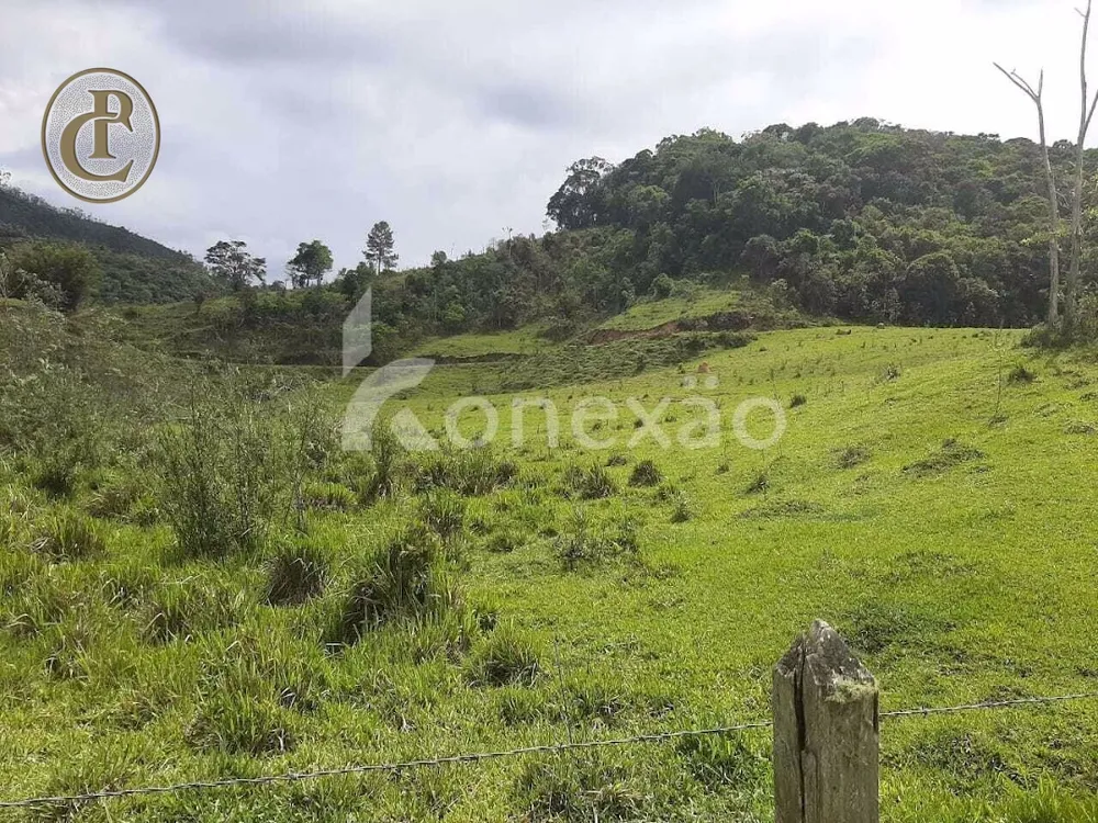 Fazenda, 300 m² - Foto 2