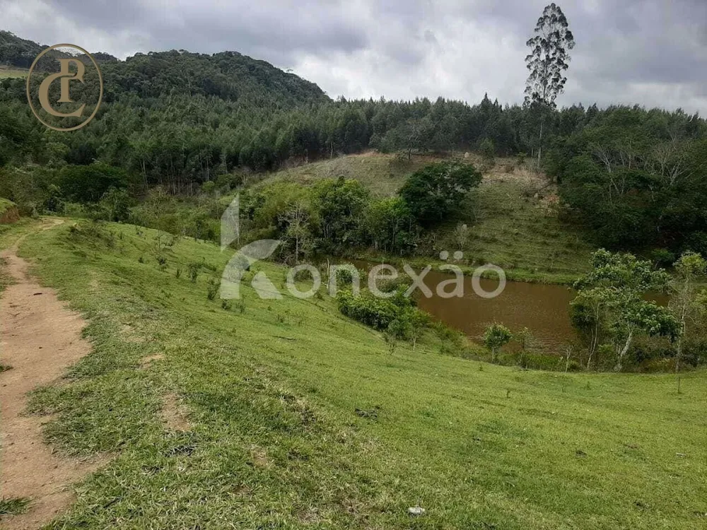Fazenda, 300 m² - Foto 4