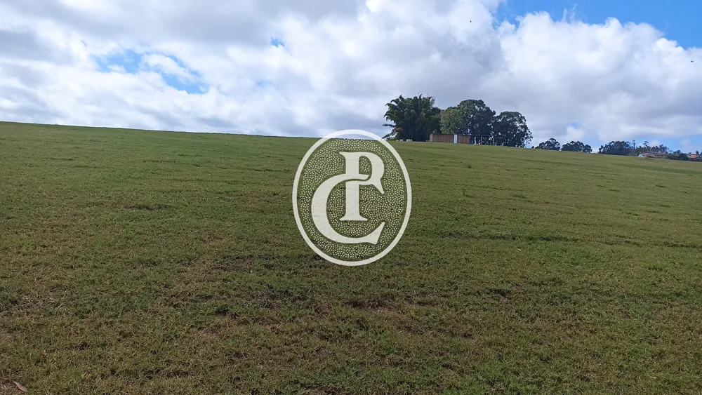 Terreno, 5 hectares - Foto 8